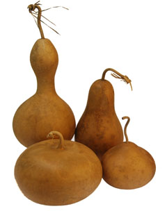 Gourd Shapes